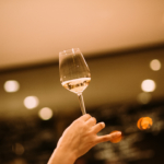 PRVI SUSRET S VINOM - OSNOVNI MODEL VINSKE ŠKOLE