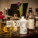 GINOVI 21. STOLJEĆA