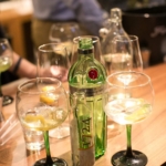 GIN & TONIC ( radionica )