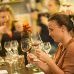 CIKLUS VINSKE ŠKOLE JELENE ŠIMIĆ VALENTIĆ (osnovna, srednja i napredna razina )