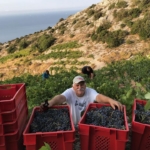 VINARIJA BURA - MRGUDIĆ U PUPITRESU