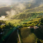 VINARIJA ŠOŠKIĆ U PUPITRESU