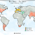 WINE TASTING VINA NOVOG SVIJETA (iskoristite svoje poklon bonove)