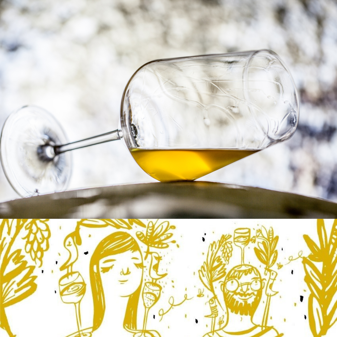 VELIKE SORTE:  SAUVIGNON BLANC