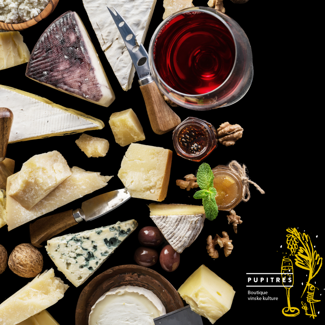 Večer talijanskih vina i talijanskih sireva 